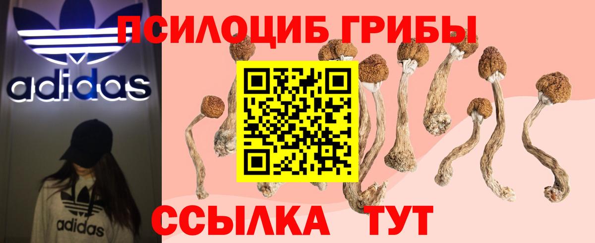 Галлюциногенные грибы прущие грибы  Вход с VPN  Богородск 